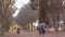 Cute siblings throwing dry leaves in the park. Brothers having fun in nature