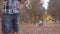 Cute siblings throwing dry leaves in the park. Brothers having fun in nature