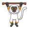 Cute sifaka lemur monkey cartoon hanging on tree