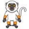 Cute sifaka lemur monkey cartoon standing