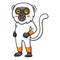 Cute sifaka lemur monkey cartoon standing
