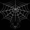 Cute silver spider. Halloween spider\\\'s web.