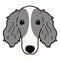 Cute and simple illustration of Borzoi Dog front face