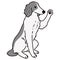 Cute and simple illustration of Borzoi Dog waving hand