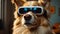 Cute simulator dog wearing virtual pet glasses gadget funny portrait fun concept