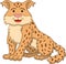 Cute Sitting Cheetah Cartoon Color Illustration