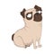 Cute sitting grambler pug dog. Vector cartoon hand drawn illustration. Isolation on white background.