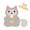 Cute sitting gray cat eating icecream
