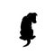 Cute sitting puppy from behind silhouette
