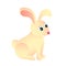 Cute sitting rabbit or bunny. Pet and animal farm.