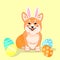 Cute sitting smiling corgi dog as Easter bunny with eggs vector cartoon illustration. Kawai corgi puppy print. Isolated on yellow