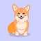 Cute sitting smiling corgi dog vector cartoon illustration. Kawai corgi puppy print. Isolated on lilac background