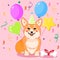 Cute sitting smiling corgi dog wishing Happy Birthday with party hat and balloons vector cartoon illustration. Kawai corgi puppy
