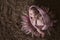 Cute sleeper newborn baby girl in pink cap on wool