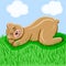 Cute sleeping brown bear animal is sleeping on the grass hill in sunny weather. Green fresh grass, blue sky, clouds, summer rest.