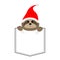 Cute sloth face head in the pocket. Santa hat. Cartoon animals. Lazy character. Dash line. Animal collection. White and black