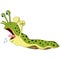 Cute slug cartoon isolated on white background