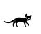Cute small black cat with big eyes walking, vector illustration
