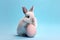 Cute small bunny next to large pastel pink Easter egg in front of blue studio background