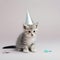 Cute small cat kitten, wearing birthday party hat. Looking straight to camera. isolated on a lilac purple background