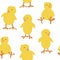 Cute small chickens seamless pattern