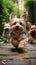 Cute small dogs, Yorkshire Terriers, playing and running in garden