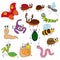 Cute small insects set, the collection of coloring book template, the group of outline digital elements.