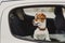 Cute small jack russell dog in a car watching by the window. Ready to travel. Traveling with pets concept