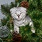 Cute small kitten looks out from the branches of the Christmas tree, reaches forward and smiles. Square macro