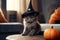 Cute small kitty wearing a witch hat for Halloween sitting on the table at home. Generative AI