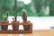 Cute small long cactus in basket on wooden table