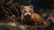Cute small mammal, furry and fluffy, looking at camera playfully generated by AI