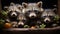 Cute small mammal raccoon looking at camera generated by AI