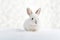 Cute small rabbit bunny sitting on white fur background