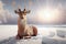 Cute small sika deer in snow in the sunshine.