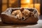 Cute small terrier dog resting on pet bed at home