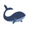 Cute smile blue whale. Hand drawn vector animal wildlife