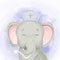 Cute Smile Doctor Baby Elephant