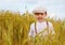 Cute smiling boy walking the wheat field