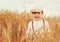 Cute smiling boy walking the wheat field