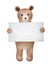 Cute smiling brown bear child holding in hands blank clean notepaper sheet