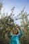 Cute smiling brunette woman harvesting organic olives