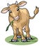 Cute smiling cow. Cartoon style