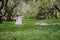 Cute smiling dressy baby girl on the walk in blooming cherry garden in spring