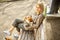 Cute smiling European young woman holds stray Istanbul ginger cat on her lap