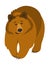 Cute smiling grizzly bear cartoon illustration