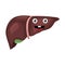 Cute smiling liver emoji. Flat and solid color vector illustration.