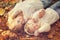 Cute smiling mother and daughter dressed in white knitted sweaters, have a rest lying in yellow autumn foliage.