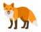 Cute smiling red fox cartoon illustration