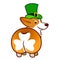 Cute smiling welsh corgi dog in green leprechaun top hat  cartoon illustration isolated on white background. Funny shamrock